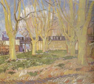 Avenue of Plane Trees near Arles Station (nn04), Vincent Van Gogh